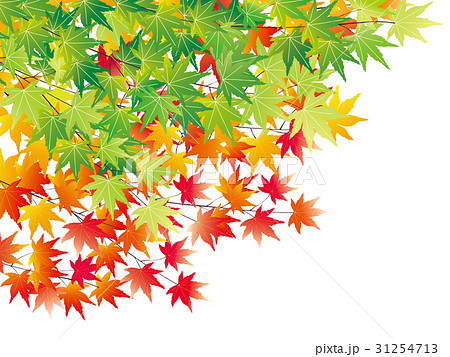 紅葉 イラストのイラスト素材