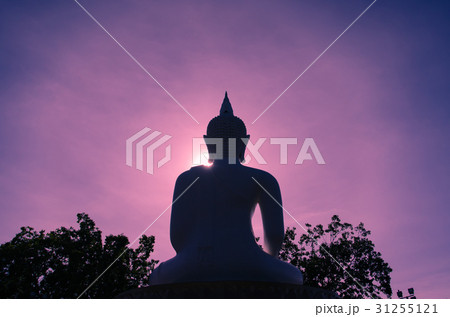 Big White Buddha Statue On Moment of Color Dawn. Big White Buddha Statue On Moment of Color Dawn. 31255121