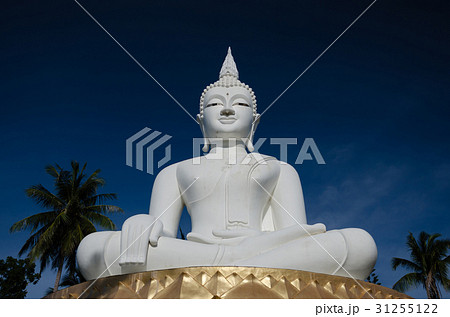 Big White Buddha Statue. Big White Buddha Statue. 31255122
