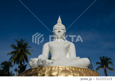 Big White Buddha Statue. 31255123