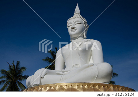 Big White Buddha Statue. Big White Buddha Statue. 31255124