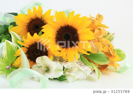 ひまわりの花束 31255769