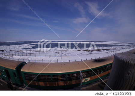 北海道の流氷 31255958