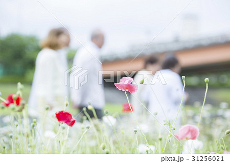 シニア旅行イメージ 31256021