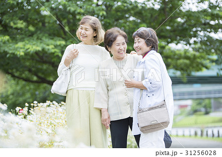 シニア女性旅行イメージ 31256028