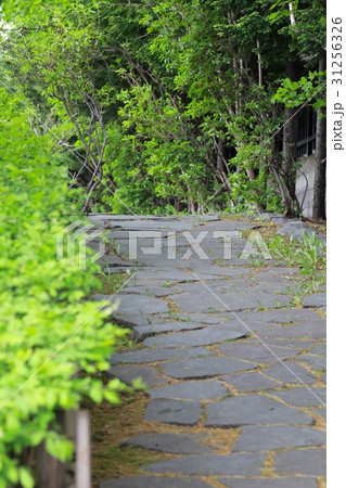 春の公園にある敷石の道 31256326
