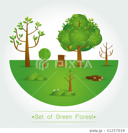 Set of Green Forest, trees and bushes Set of Green Forest, trees and bushes 31257039