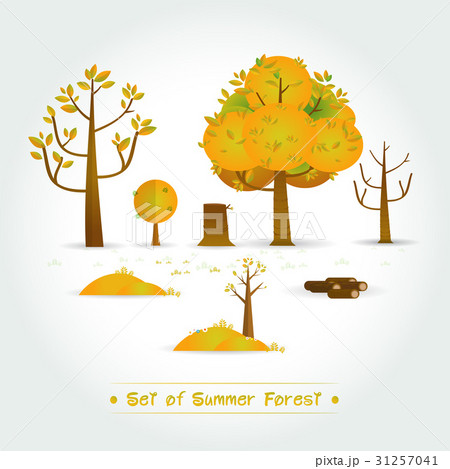 Set of Green Forest, trees and bushes Set of Green Forest, trees and bushes 31257041