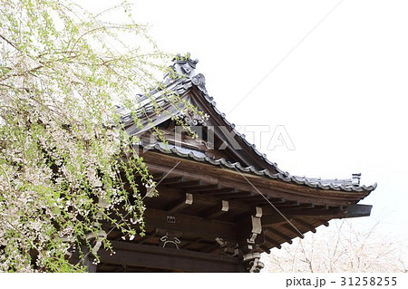 吉祥山、道光寺、臨済宗、鐘楼 吉祥山、道光寺、臨済宗、鐘楼 31258255