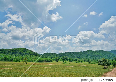 Hua Hin, Thailand（タイ王国フワヒン,ホアヒン,ファヒン） 31259969