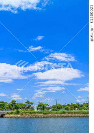 千葉県一宮町一宮川周辺 31260025