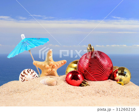 Christmas decorations, seashells and starfish Christmas decorations, seashells and starfish 31260210