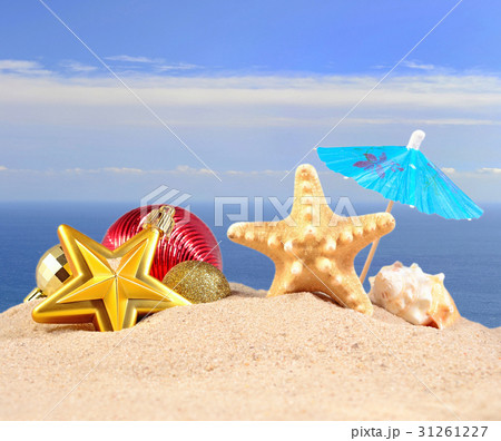 Christmas decorations, seashells and starfish Christmas decorations, seashells and starfish 31261227