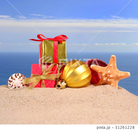 Christmas decorations seashells and starfish Christmas decorations seashells and starfish 31261228