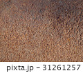 Rusty metal background 31261257