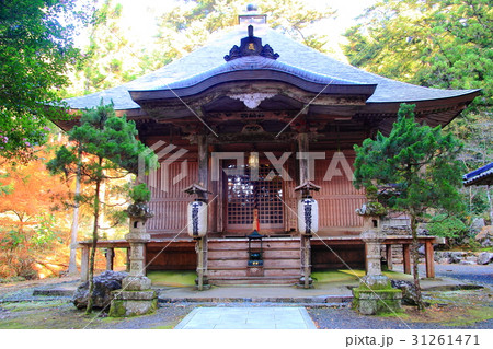 高蔵寺（兵庫県　篠山市）境内の紅葉 31261471