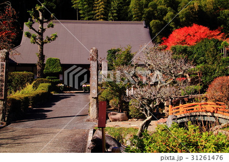 高蔵寺（兵庫県　篠山市）境内の紅葉 31261476
