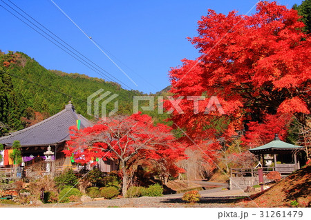 高蔵寺(兵庫県 篠山市)境内の紅葉 高蔵寺(兵庫県 篠山市)境内の紅葉 31261479