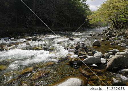 甲子川 甲子川 31262038