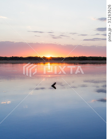 sunset on the lake as a backdrop 31263626