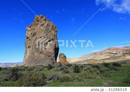 Piedra Parada monolith in the Chubut valley 31266319
