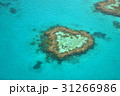 ハートリーフ 31266986
