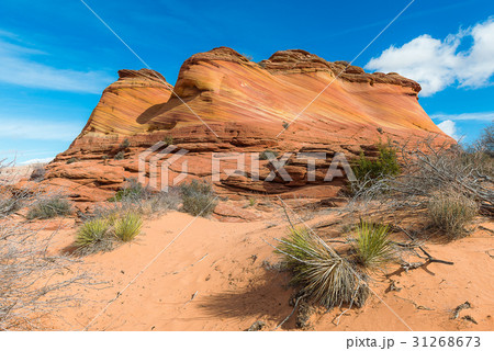 The Wave, Amazing Sandstone in Arizona 31268673