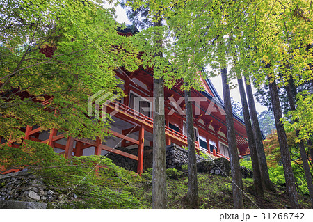 比叡山延暦寺横川地域 31268742