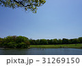 湖と青空 31269150