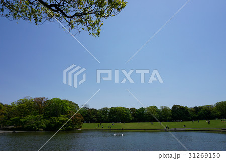 湖と青空 湖と青空 31269150