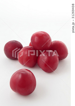 スモモ複数 31269408