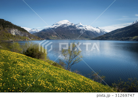 Springtime in Norway 31269747