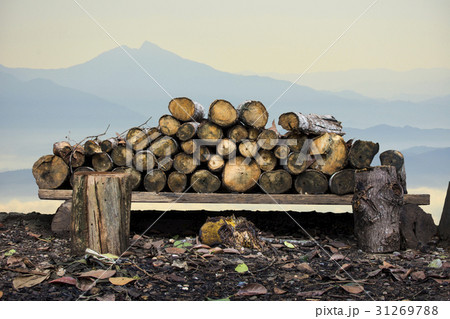 Natural wooden logs stacked. pile of wood logs 31269788