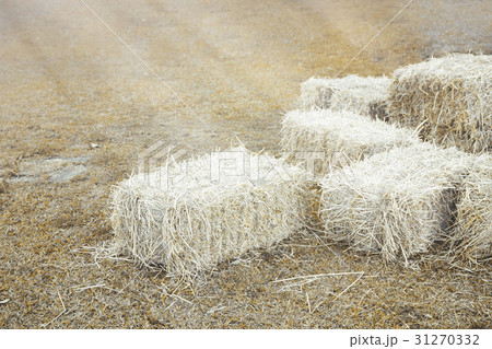 Hay bale agriculture field in farm. 31270332