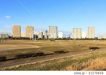 【東京・神奈川】都市風景(多摩川河川敷、冬編) 【東京・神奈川】都市風景(多摩川河川敷、冬編) 31270839