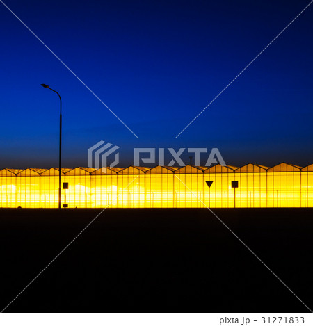 Night landscape background 31271833