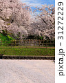 弘前城桜まつり_2017 31272229