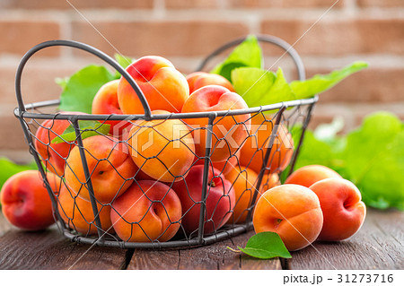 Fresh apricots with leaves in basket Fresh apricots with leaves in basket 31273716