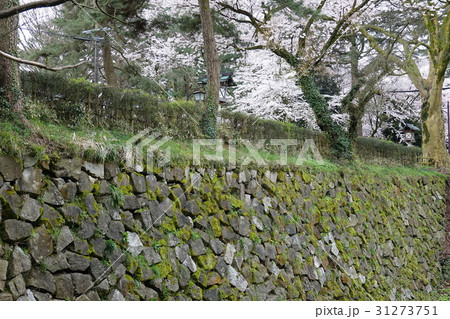 高岡古城公園 高岡古城公園 31273751