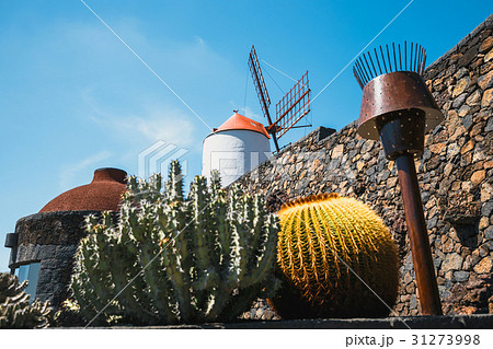 Windmill in tropical cactus garden in Guatiza 31273998