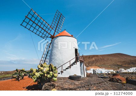 Windmill on blue sky background in cactus garden 31274000