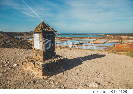salt mine at the island of lanzarote 31274009