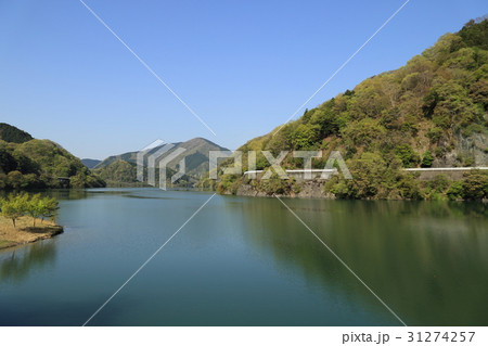 早朝の丹沢湖 31274257