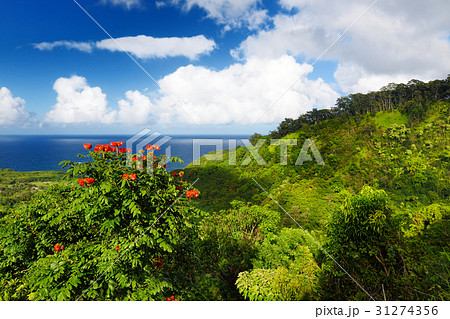 Beautiful views of Maui North coast Beautiful views of Maui North coast 31274356