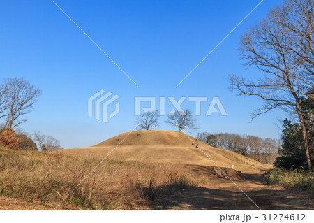 冬の岩屋古墳の風景 31274612