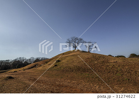 冬の岩屋古墳の風景 冬の岩屋古墳の風景 31274622