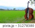 チェロ セロ 台東 31278380