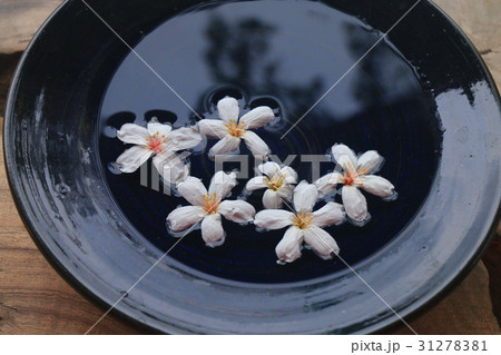 ディアーナ 禅 禅宗 31278381