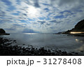 海 31278408