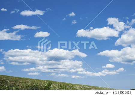 茅の丘と青空　 31280632